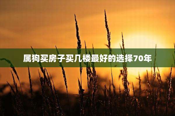 属狗买房子买几楼最好的选择70年
