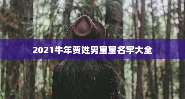 2021牛年贾姓男宝宝名字大全