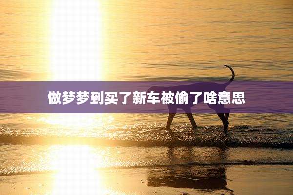 做梦梦到买了新车被偷了啥意思