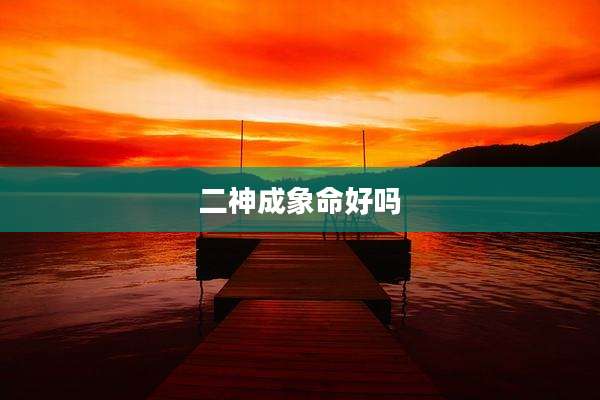 二神成象命好吗