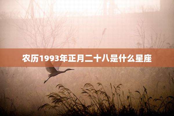 农历1993年正月二十八是什么星座