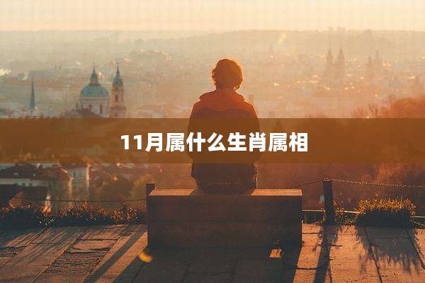11月属什么生肖属相