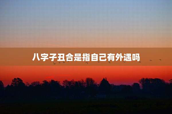八字子丑合是指自己有外遇吗