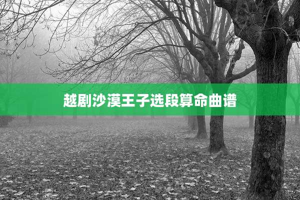 越剧沙漠王子选段算命曲谱