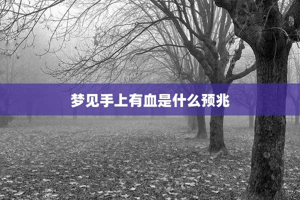 梦见手上有血是什么预兆
