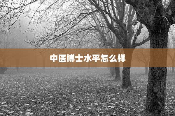 中医博士水平怎么样