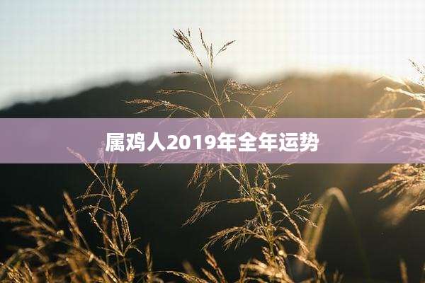 属鸡人2019年全年运势