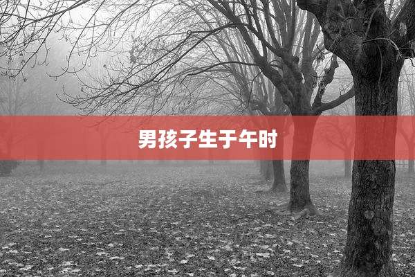 男孩子生于午时