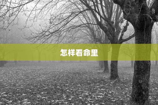 怎样看命里