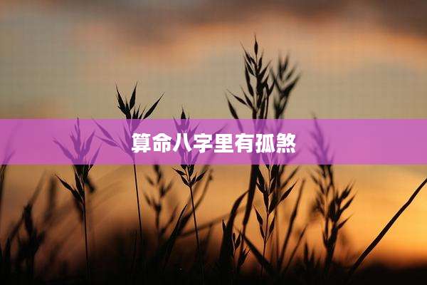 算命八字里有孤煞