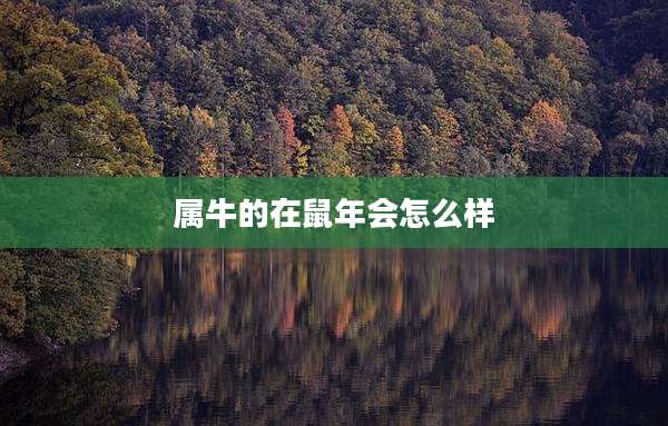 属牛的在鼠年会怎么样