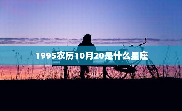 1995农历10月20是什么星座
