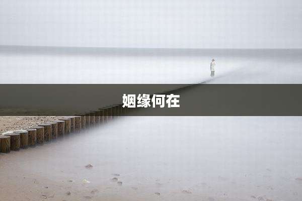 姻缘何在