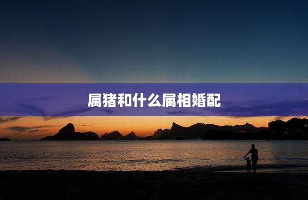 属猪和什么属相婚配