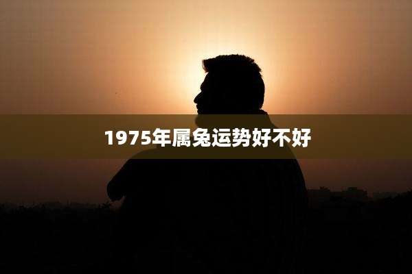 1975年属兔运势好不好