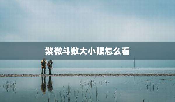 紫微斗数大小限怎么看