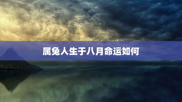 属兔人生于八月命运如何