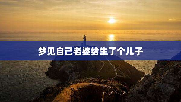 梦见自己老婆给生了个儿子