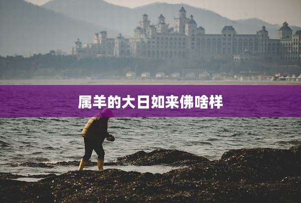 属羊的大日如来佛啥样