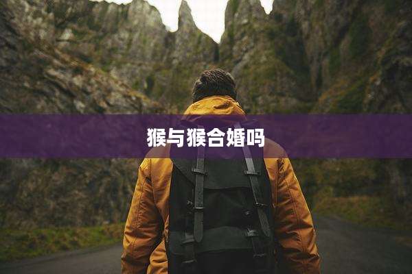 猴与猴合婚吗