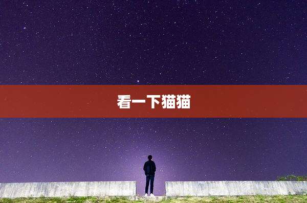 看一下猫猫