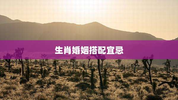 生肖婚姻搭配宜忌