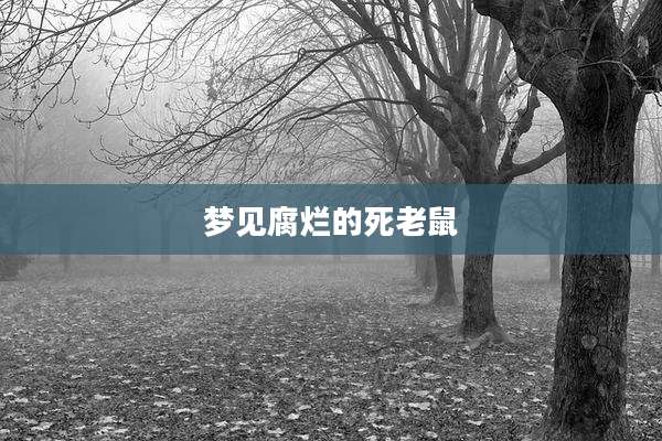 梦见腐烂的死老鼠