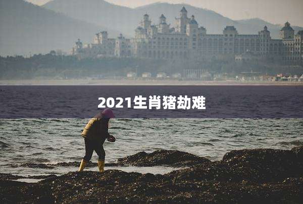 2021生肖猪劫难