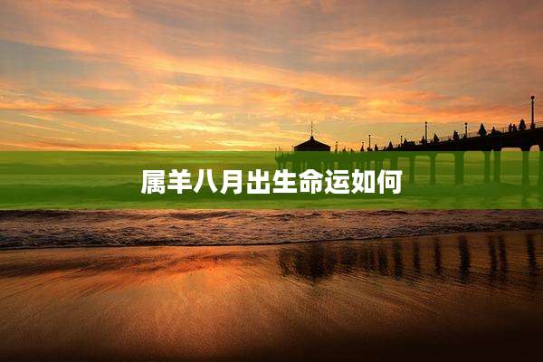 属羊八月出生命运如何