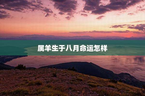 属羊生于八月命运怎样