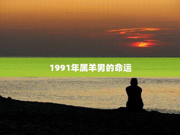 1991年属羊男的命运