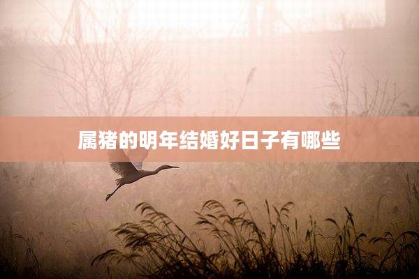 属猪的明年结婚好日子有哪些