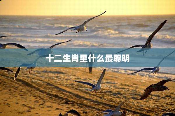 十二生肖里什么最聪明