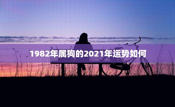 1982年属狗的2021年运势如何