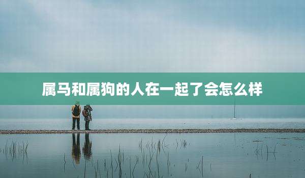 属马和属狗的人在一起了会怎么样
