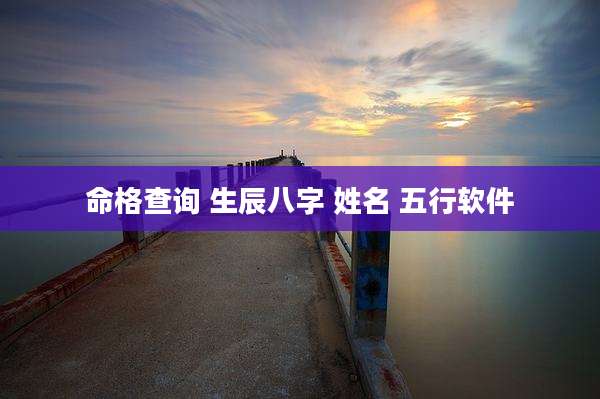 命格查询 生辰八字 姓名 五行软件