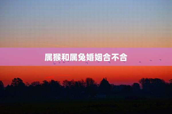 属猴和属兔婚姻合不合