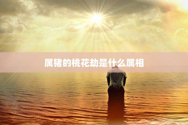 属猪的桃花劫是什么属相