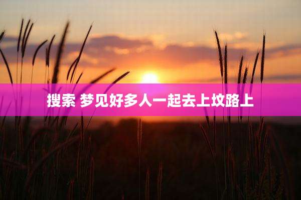 搜索 梦见好多人一起去上坟路上