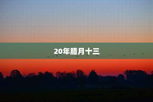 20年腊月十三