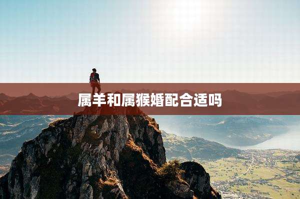 属羊和属猴婚配合适吗