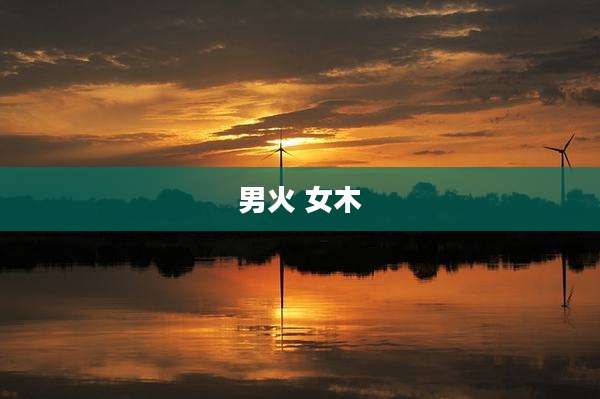 男火 女木