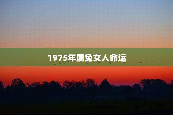 1975年属兔女人命运