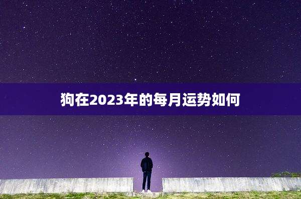 狗在2023年的每月运势如何