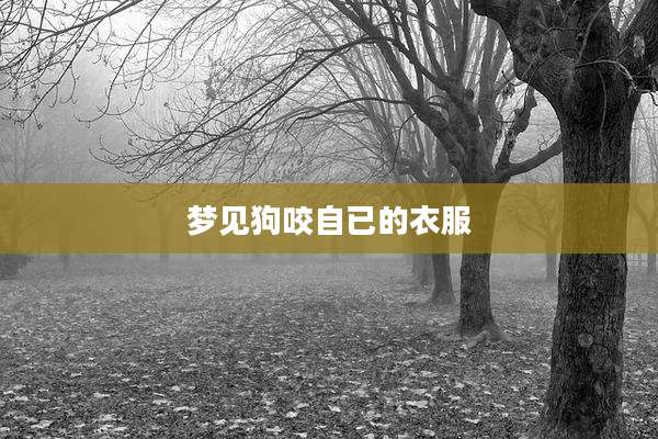梦见狗咬自已的衣服