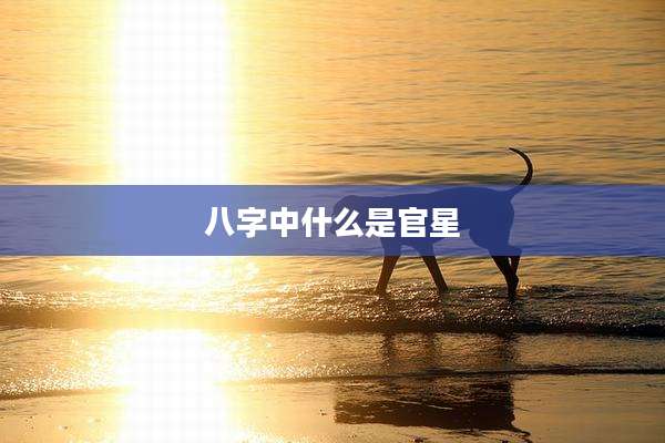 八字中什么是官星