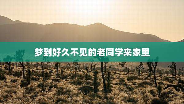 梦到好久不见的老同学来家里