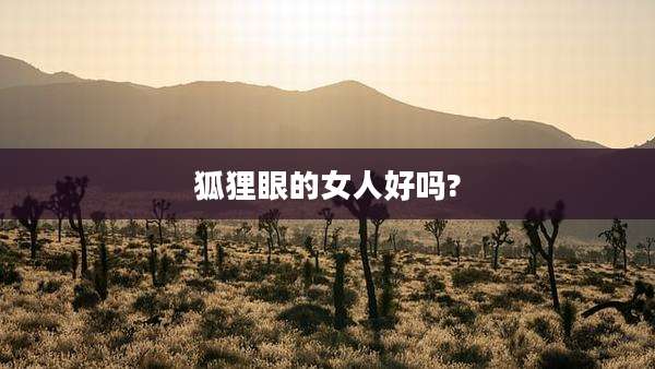 狐狸眼的女人好吗?