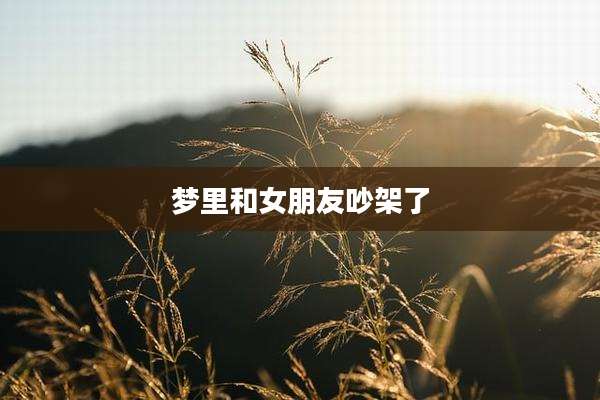 梦里和女朋友吵架了