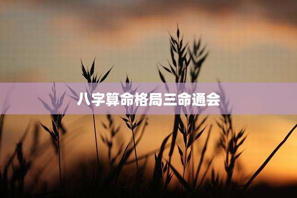 八字算命格局三命通会
